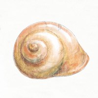 Golden Treasures I on White Fine Art Print