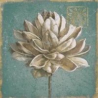 Seed Pod I no Words Turquoise Fine Art Print