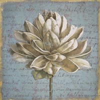 Seed Pod I no Stamp Fine Art Print