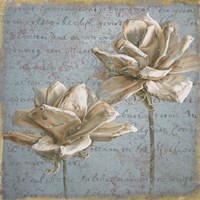 Seed Pod II no Stamp Fine Art Print