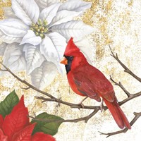 Winter Birds Cardinal Fine Art Print