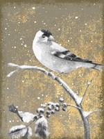 Winter Birds Goldfinch Neutral Fine Art Print