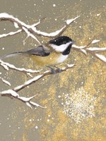 Winter Birds Chickadee Color Fine Art Print