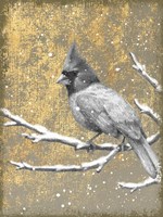 Winter Birds Cardinal Neutral Framed Print