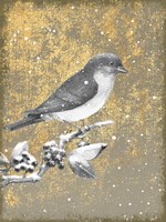 Winter Birds Bluebird Neutral Framed Print