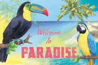 Island Time Toucan Fine Art Print