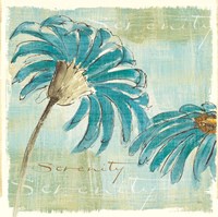 Spa Daisies IV Fine Art Print