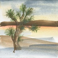 Desert Joshua Tree Fine Art Print