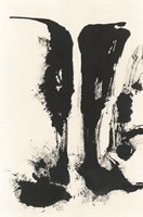 Sumi Waterfall View V Fine Art Print