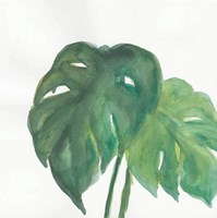 Tropical Palm II Fine Art Print
