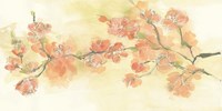 Tinted Blossoms I Fine Art Print
