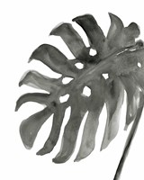 Tropical Palm IV BW Framed Print