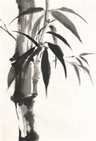 Sumi Bamboo Fine Art Print