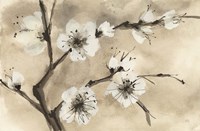 Spring Blossoms IV Framed Print
