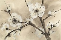 Spring Blossoms III Fine Art Print