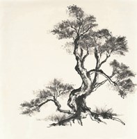 Sumi Tree I Fine Art Print