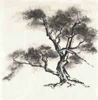 Sumi Tree II Fine Art Print