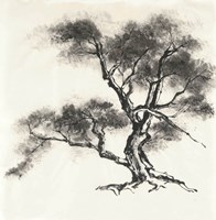 Sumi Tree II Framed Print