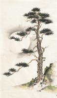 Moon Pine Fine Art Print