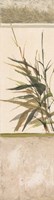 Scrolled Textural Grass III Fine Art Print