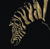 Gilded Zebra on Black Fine Art Print