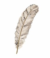 Gold Feathers IX Fine Art Print