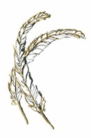 Gilded Hackles Feather Fine Art Print