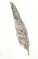 Gold Feathers VI Fine Art Print