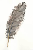 Gold Feathers VII Fine Art Print