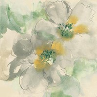 Silver Quince I Teal Fine Art Print