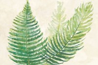 Ferns Square III v2 on Cream Fine Art Print
