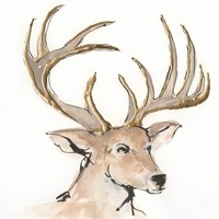 Gilded Mule Deer Fine Art Print