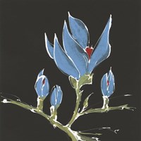 Magnolia on Black I Fine Art Print