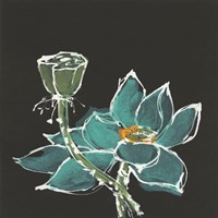 Lotus on Black I Fine Art Print