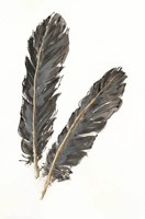 Gold Feathers IV Fine Art Print