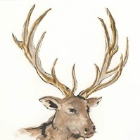 Gilded Elk Fine Art Print