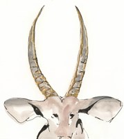 Gilded Antelope Framed Print