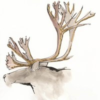 Gilded Caribou Framed Print