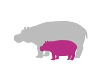 Silhouette Hippo and Calf Pink Fine Art Print
