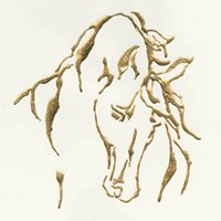Gilded Stallion Fine Art Print
