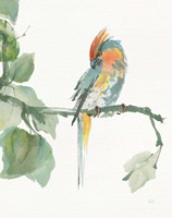 Crested Cockatoo v2 Fine Art Print