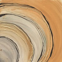 Gilded Rings Fine Art Print