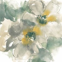 Silver Quince I on White Fine Art Print