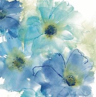 Seashell Cosmos II White Fine Art Print