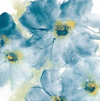 Seashell Cosmos I Blue and Yellow Fine Art Print