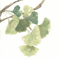 Gingko Leaves I on White Fine Art Print