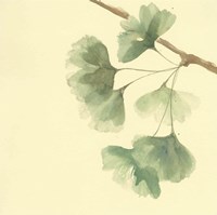 Gingko Leaves III Fine Art Print