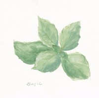 Basil Fine Art Print