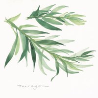 Tarragon II Fine Art Print