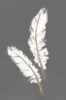 Gold Feathers I on Grey Fine Art Print
